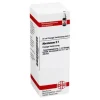 DHU Abrotanum D 1 Dilution, 20 ml