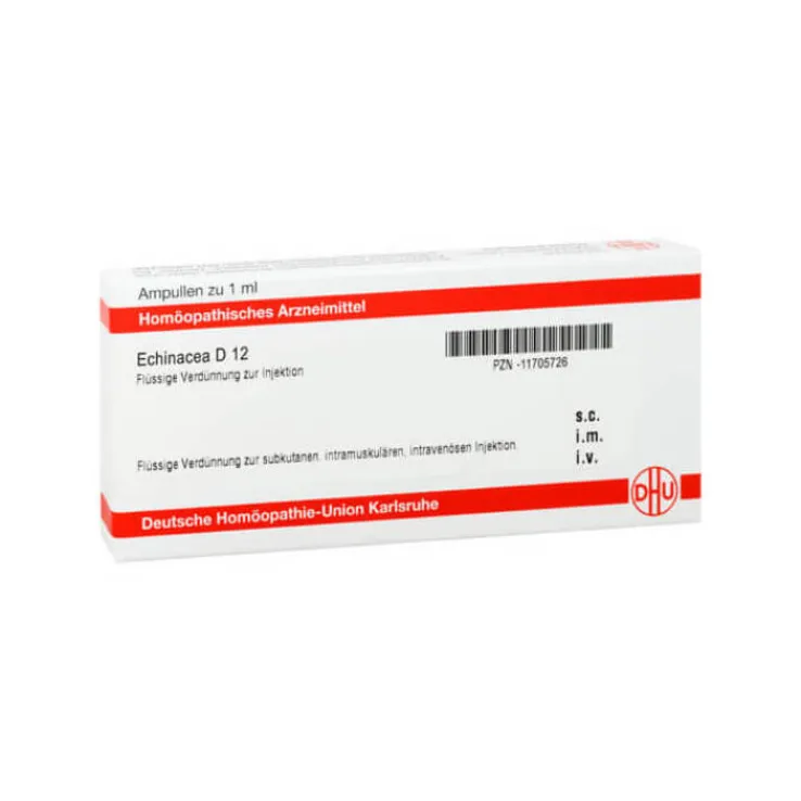 DHU Echinacea D 12 Ampullen, 8X1 ml
