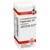 DHU Fragaria vesca D 6 Globuli, 10 g