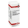 DHU Lachesis D 12 Dilution, 20 ml