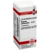 DHU Natrium carbonicum D 12 Globuli, 10 g