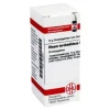 DHU Oleum Terebinthinae D 10 Globuli, 10 g