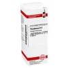 DHU Phosphorus D 6 Dilution, 20 ml