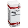 DHU Phytolacca C 30 Globuli, 10 g