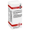 DHU Rhus toxicodendron D 3 Globuli, 10 g