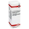 DHU Syzygium jambolanum D 2 Dilution, 20 ml