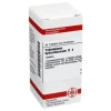 DHU Yohimbinum hydrochloricum D 4 Tabletten, 80 St