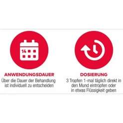 D3 + K2 Vit AL 1000 I.E. / 50 µg Tropfen, 11.5 ml