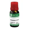 Dulcamara Arcana LM 6 Dilution, 10 ml