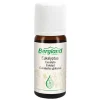 Eukalyptus-Öl, 10 ml