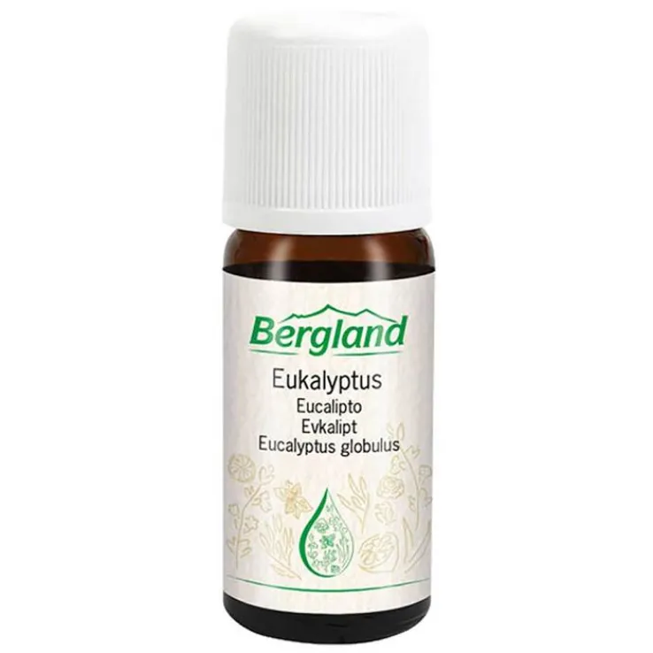 Eukalyptus-Öl, 10 ml