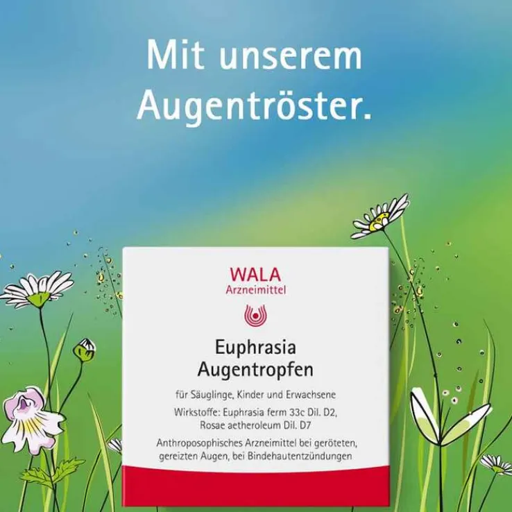 Euphrasia Augentropfen, 10X0.5 ml