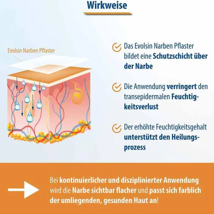 Evolsin Narbenpflaster 2,5cm x 200cm, 1 St