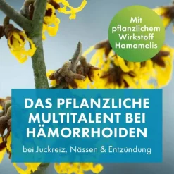 FAKTU lind Hämorrhoidenzäpfchen mit Hamamelis, 10 St