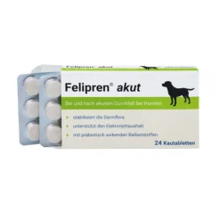 Felipren akut Kautabletten bei und nach Durchfall für Hunde, 24 St
