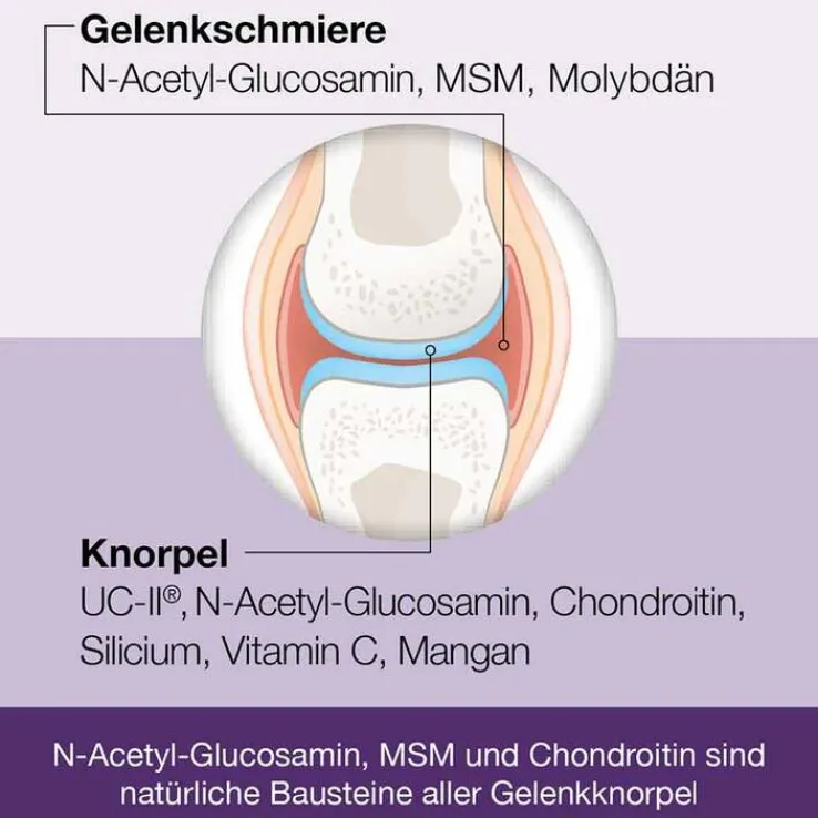 Flexiloges Knorpel aktiv Kapseln, 240 St
