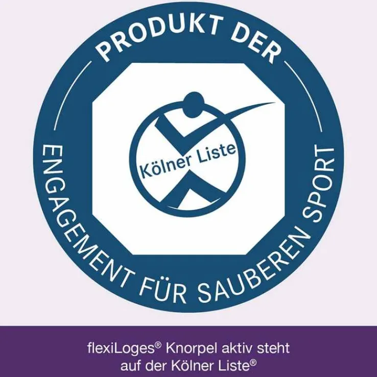 Flexiloges Knorpel aktiv Kapseln, 240 St
