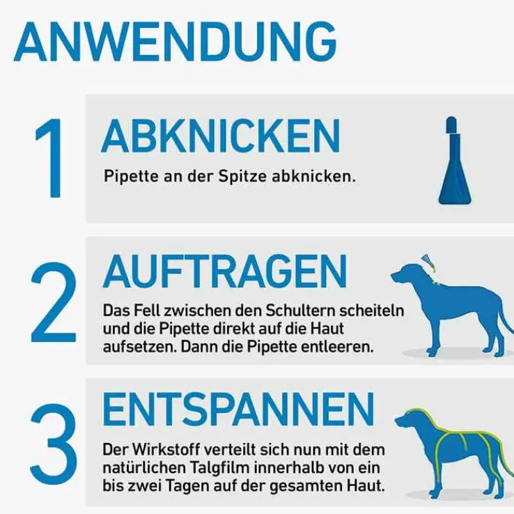 FRONTLINE® SPOT ON Hund M Lösung, 3 St