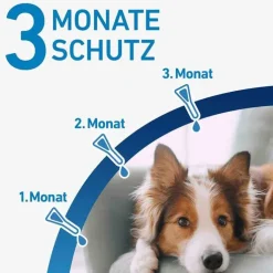 FRONTLINE® SPOT ON Hund M Lösung, 3 St