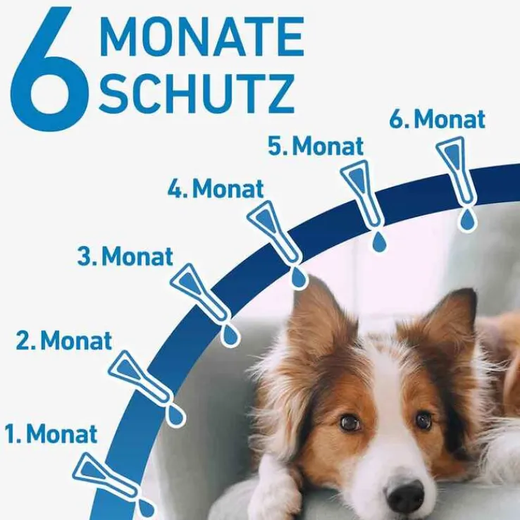 FRONTLINE® SPOT ON Hund M Lösung, 6 St