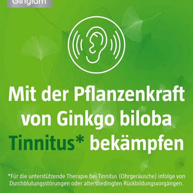 Gingium 40 mg Filmtabletten, 120 St