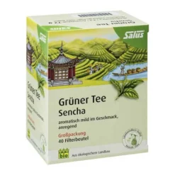 Grüner Tee bio Salus Filterbeutel Großpackung, 40 St