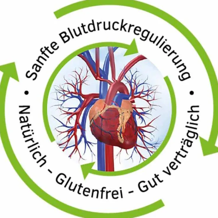 Homviotensin® Tropfen, 100 ml
