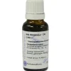 Iris versicolor D 6 Dilution, 20 ml
