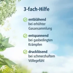 KLOSTERFRAU Magen-Darm Entspannung, 20 St
