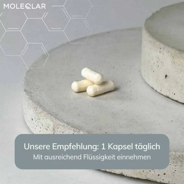 Moleqlar Longevity NR + Nicotinamid Kapseln, 30 St