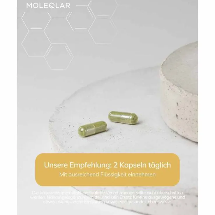 Moleqlar Spermidin Kapseln, 60 St