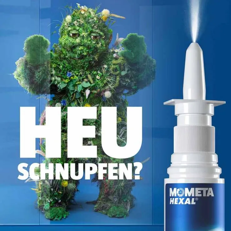 MometaHEXAL Heuschnupfenspray, 10 g