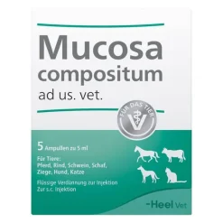 Mucosa Compositum Ampullen vet. (für Tiere), 5X5 ml