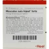 Musculus suis Injeel forte Ampullen, 10 St