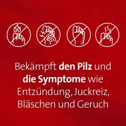 Mykosert® Spray bei Haut- und Fußpilz, 2X30 ml