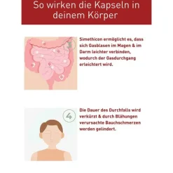 N1 Durchfall Kapseln, 30 St