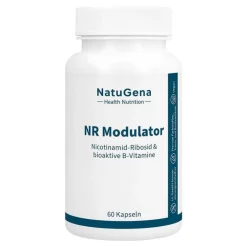 NR Modulator Nicotinamid-Ribosid + B-Vitamine Kapseln , 60 St