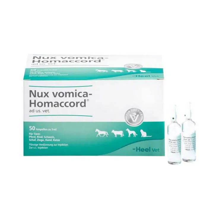 Nux vomica Homaccord Ampullen vet. (für Tiere), 50 St