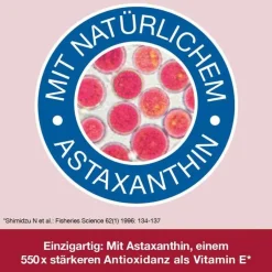 Omega 3-Loges plus Kapseln, 120 St