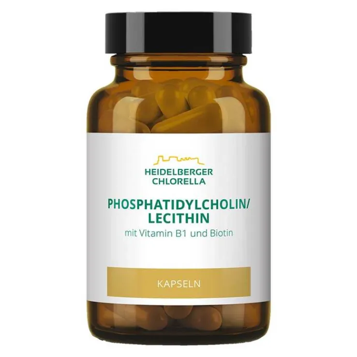 Phosphatidylcholin / Lecithin Phospholipide Kapseln, 60 St
