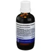 Pulmonaria Komplex Hanosan flüssig, 50 ml