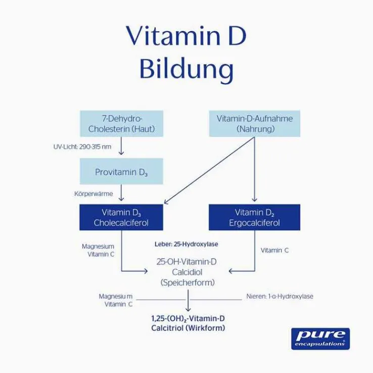 Pure Encapsulations Vitamin D3 Liquid, 22.5 ml