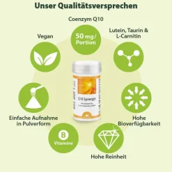 Q10 Synergie Pulver, 80 g