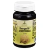 Sangoqi Korallen-Calcium Pulver, 100 g