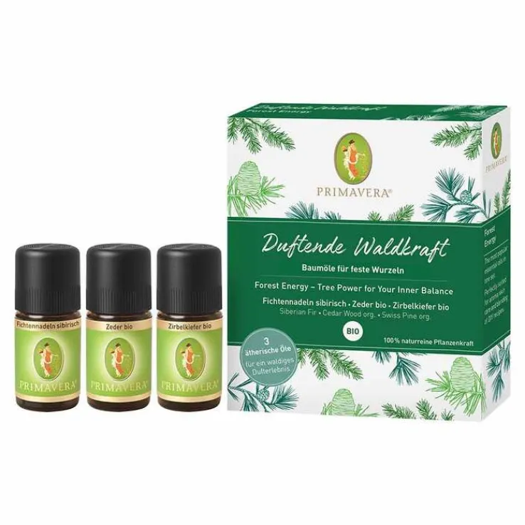 Set Duftende Waldkraft ätherisches Öl, 1 P