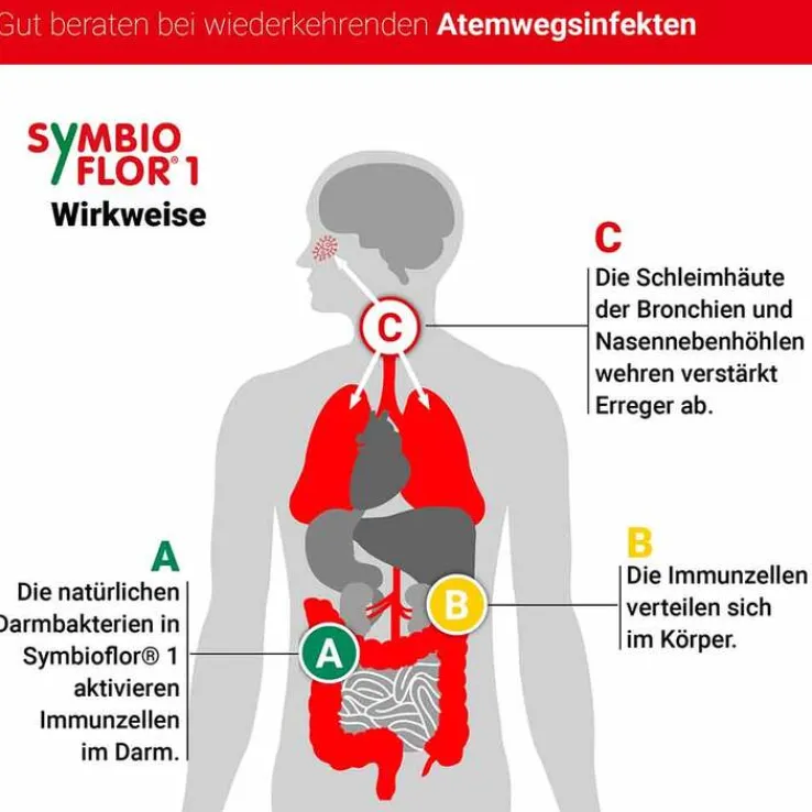 Symbioflor 1 Suspension, 2X50 ml
