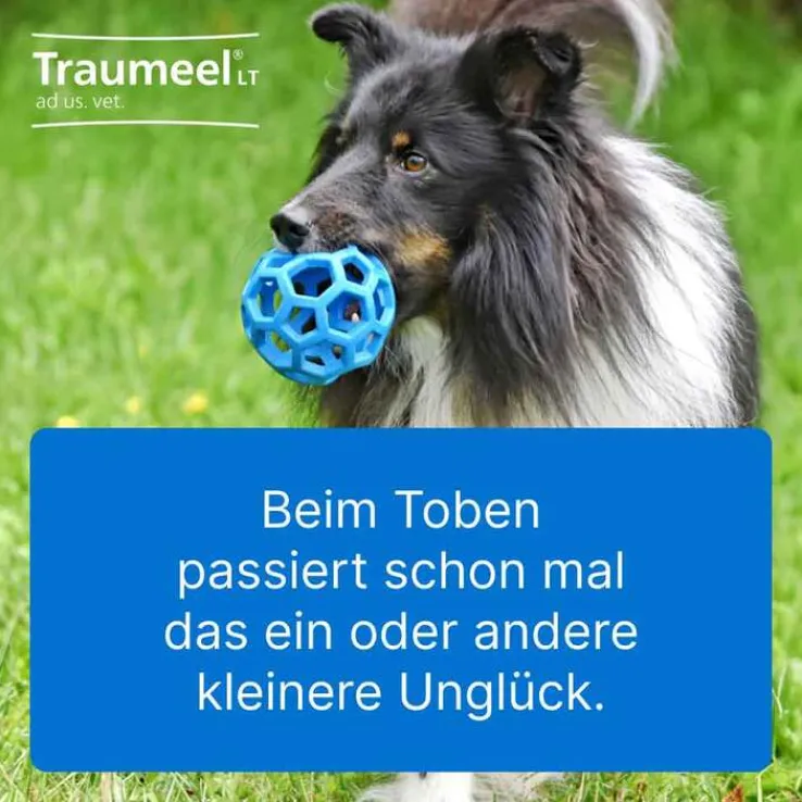 Traumeel LT ad us.vet.Tabletten, 100 St