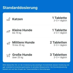 Traumeel LT ad us.vet.Tabletten, 100 St