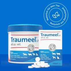 Traumeel LT ad us.vet.Tabletten, 500 St