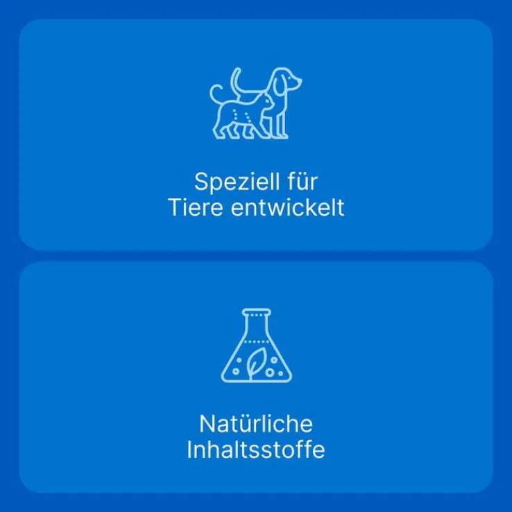 Traumeel LT ad us.vet.Tabletten, 250 St